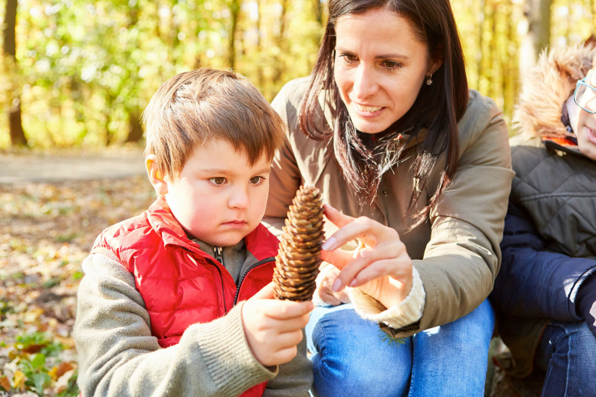 Forest schools are here to stay c2c ltd